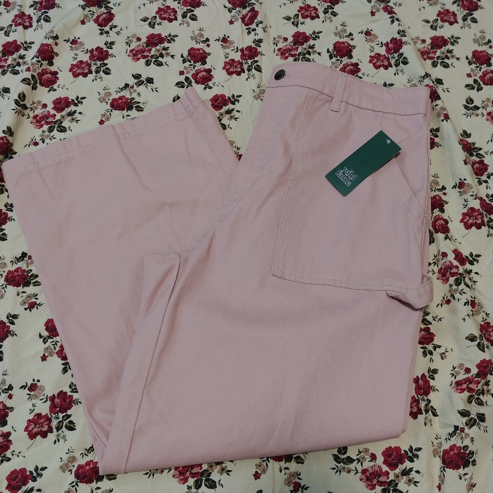 NWT Wild Fable blush pink Capri pants